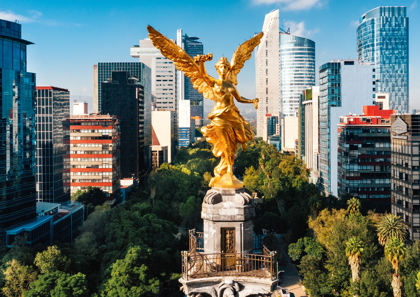 Plastic surgery in Mexico City — Mexico skyline